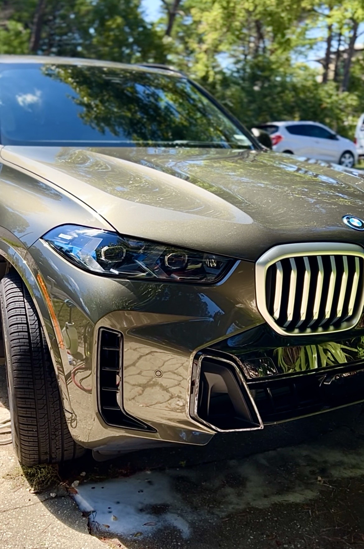 Polished green BMW X5 front fender and grille